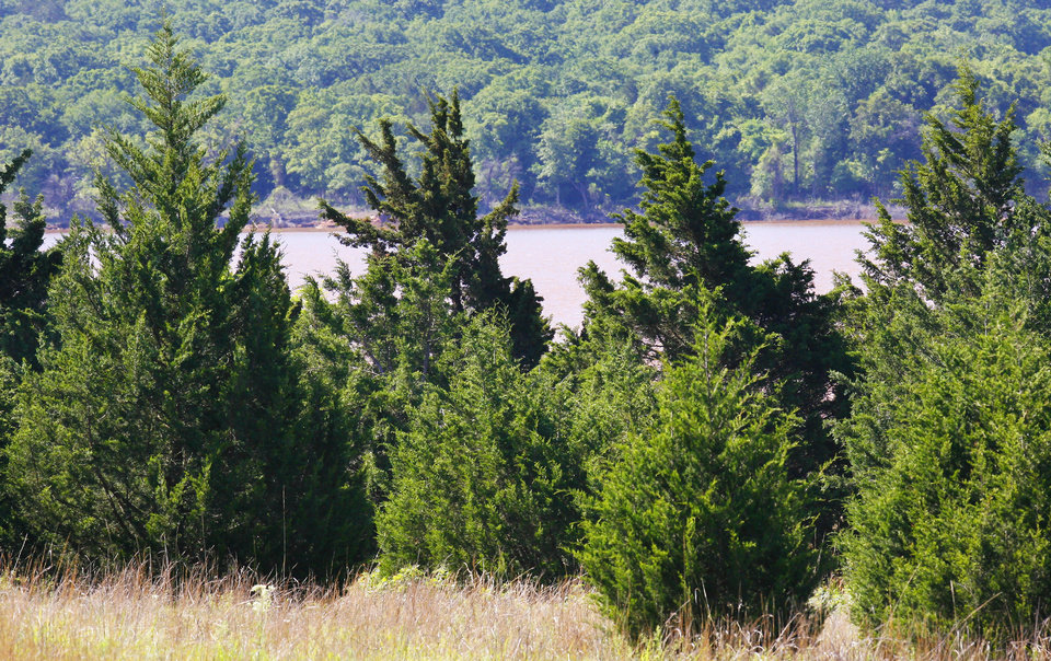 Learn to Improve the Quality of Your Land During the Upcoming Red Cedar Round-Up