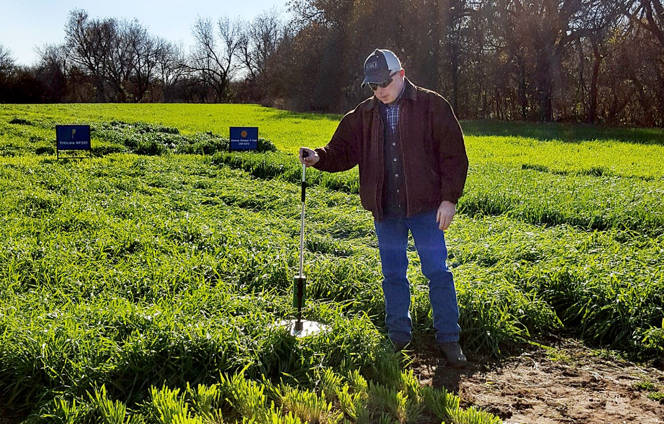Noble Foundation Hosts Field Trials to Demonstrate Newly Developed Forage Varieties