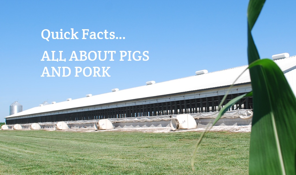 Pork Board Launches New Online Resources to Enhance Transparency, Trust of US Pork Industry