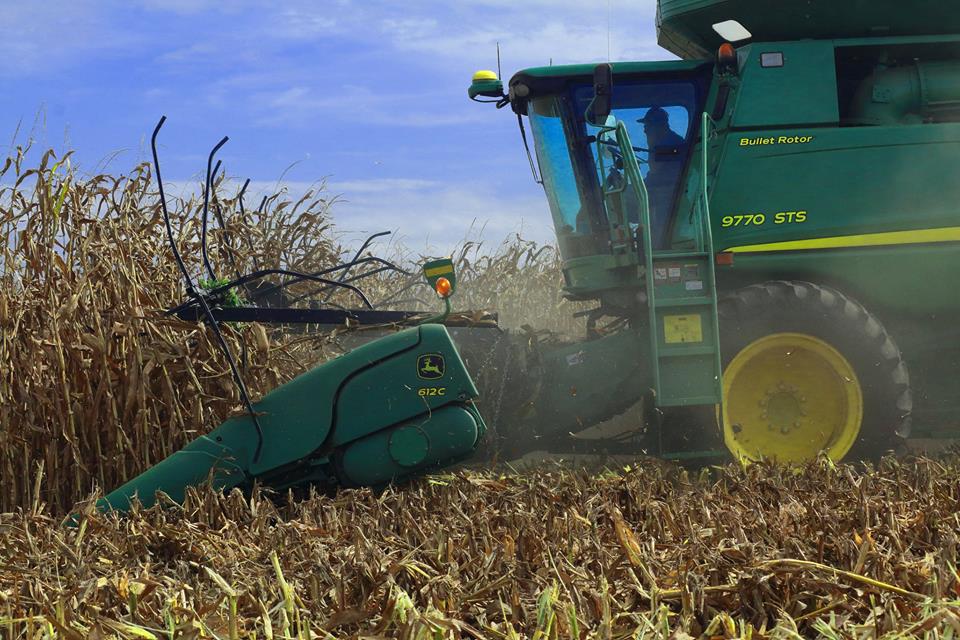 Record Corn and Soybean Crop Remains in Play for US Farmers