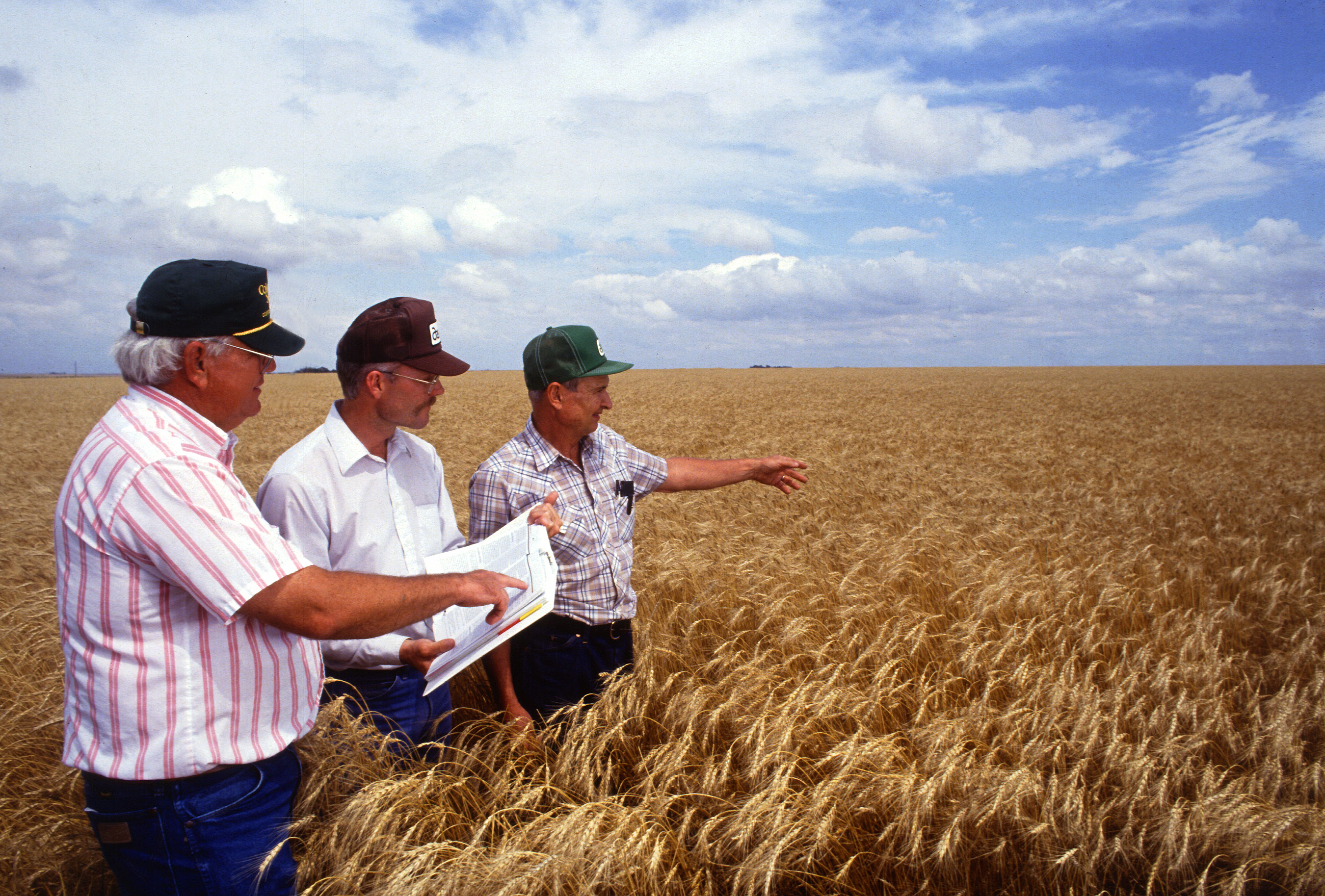 Wheat Farmers Participate in USDA Programs That Boost Farm Export Value and Job Creation