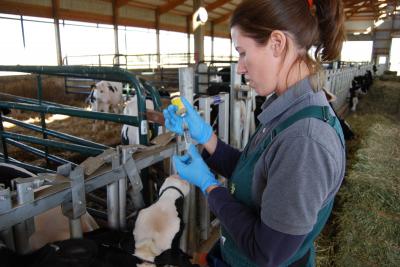 USDA Awards $4.3 Million to Ensure Access to Needed Veterinary Services in Rural Communities