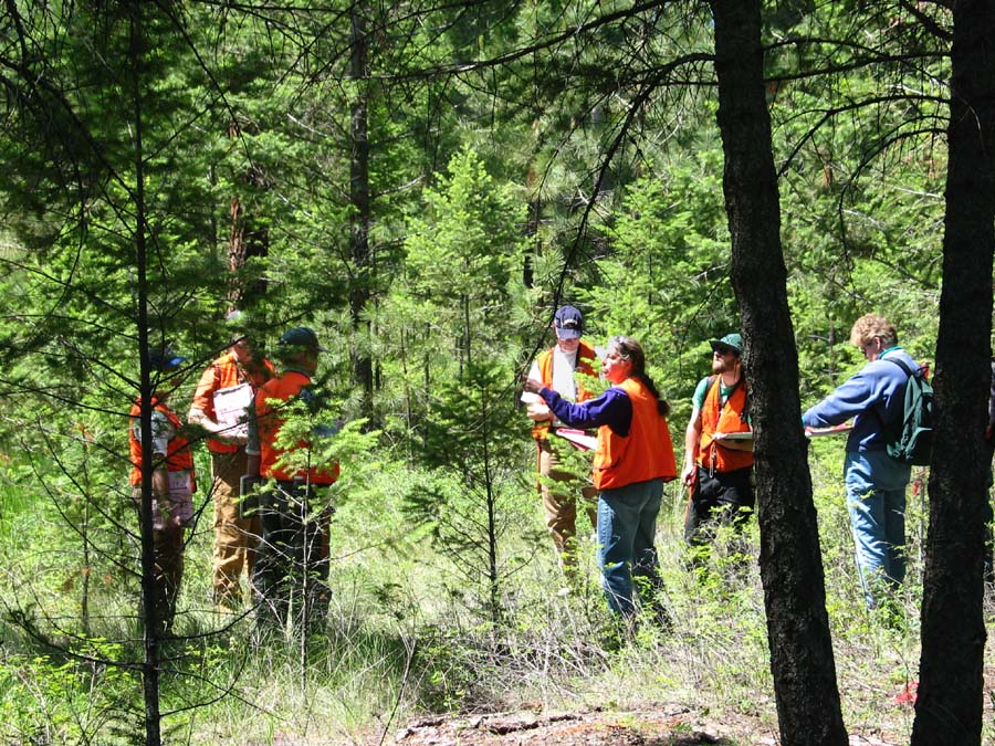 Oklahoma Forestry Services to Conduct Forest Inventory and Analysis in McCurtain County
