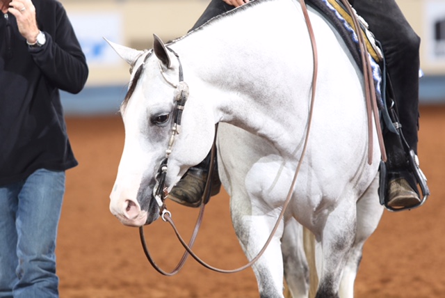 Missouri Mare Snap Crackle Pop Wins Second Super Horse Award in a Row at 2016 AQHA World Championship 