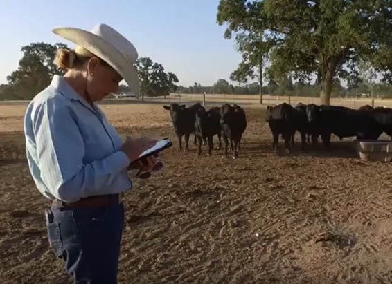 Transparency Not a One-Way Street - Ranchers Learn from Guests as Much as They Teach Them