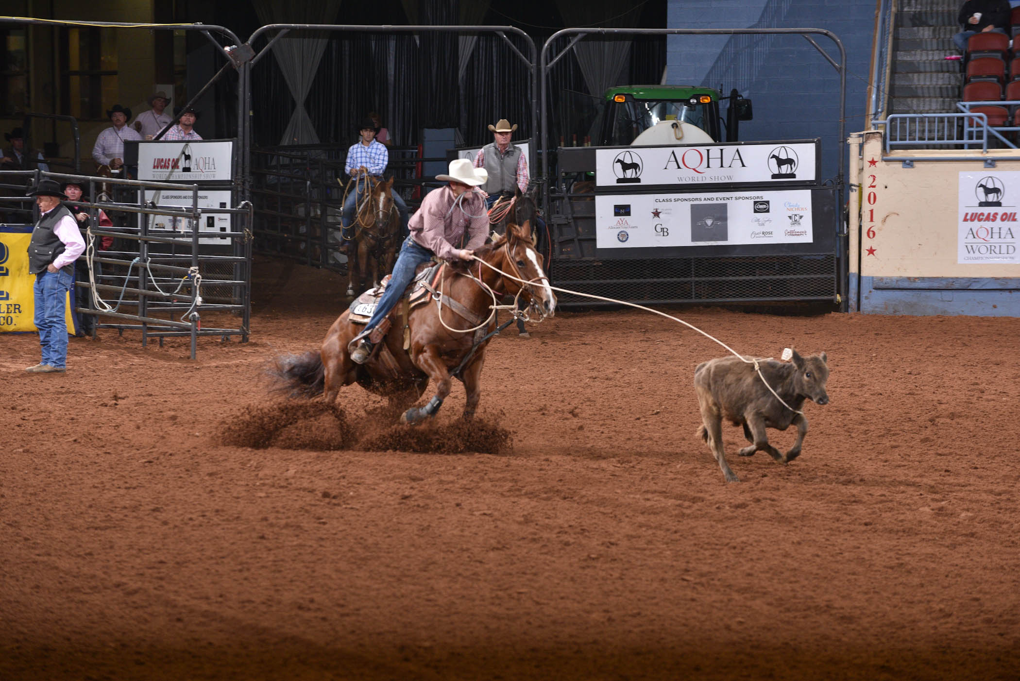 Oklahomans Among 22 Crowned as World Champions at the Lucas Oil AQHA World Championship
