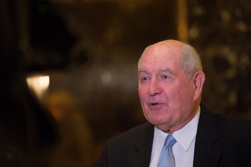 President Elect Donald Trump Finishes Out Cabinet- Picks Sonny Perdue for Secretary of Ag 