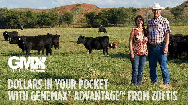 Boost the Percentage of Prime in Your Herd by Adding GeneMax Data to Your Management Program