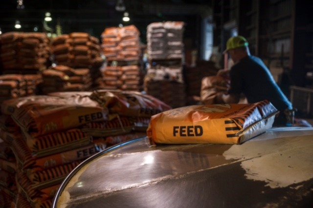 Global Feed Survey Makes Surprising Revelations About World Production & Potential Opportunities