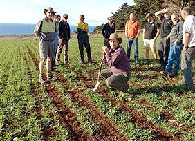New Organization Invites Everyone with an Interst to Learn About Innovations in Cover Crops
