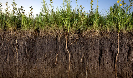  Fairview Soil Health Field Day Set for March 21st
