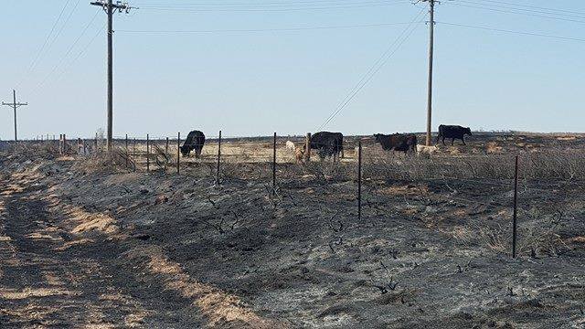 Fires in Northwest Oklahoma Now 74 Percent Contained