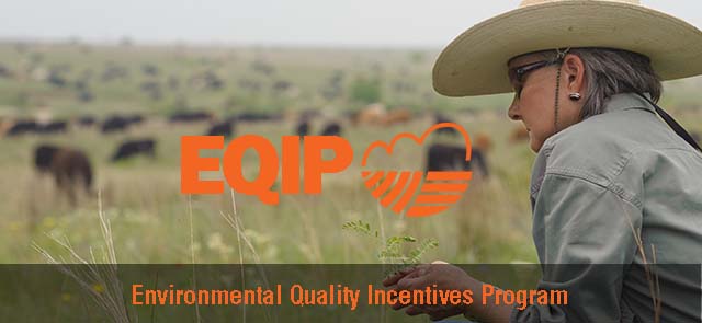 Special EQIP Dollars Earmarked for Wildfire Relief Help in Oklahoma, Kansas, Texas and Colorado