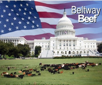 Beef Industry Launches New Website to Shine Spotlight on the Use of Grazing to Prevent Wildfires 