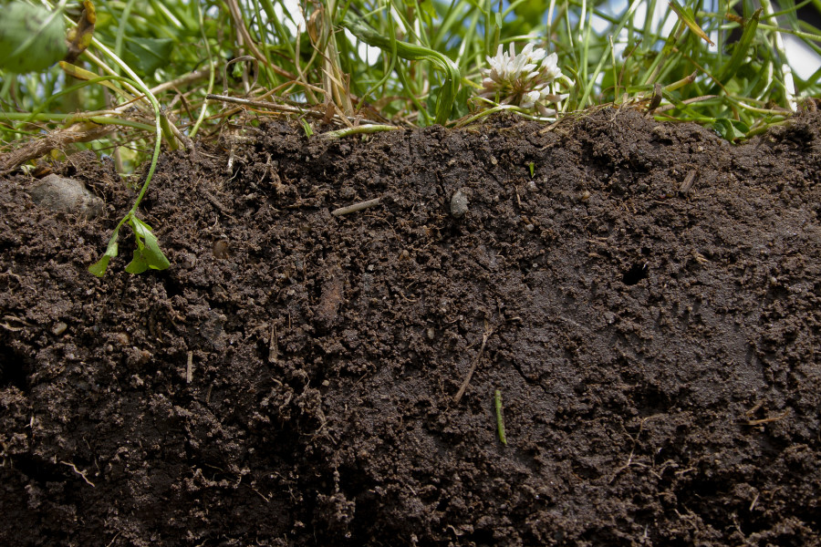 Soil Health Action Plan to be Unveiled at National Press Club May 18th