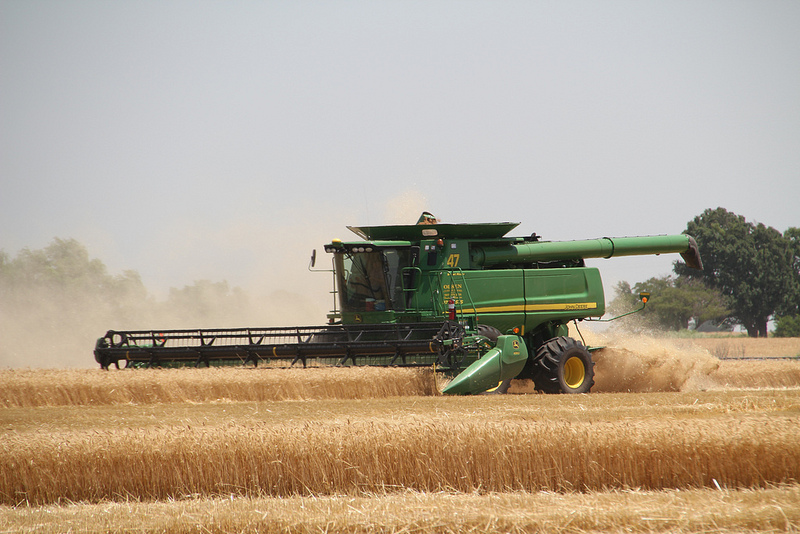 Oklahoma Wheat Harvest Begins- Grandfield and Eldorado Report Combines Running