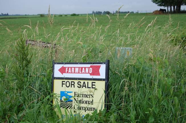 Farmland Values Anticipated to Decline, Yet Some Bright Spots in the Market Show Promising Future