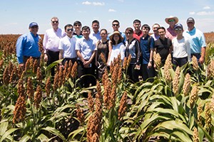 Chinese Trade Team Visits Texas and Kansas This Week, Shows Interest in Purchasing US Sorghum