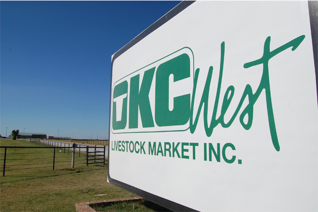 Cattle Start Week Off Selling Steady to Slightly Lower Monday at OKC West Livestock Auction
