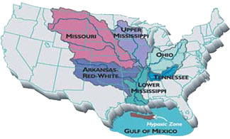 Environmental Group Blames the Gulf of Mexico Dead Zone at the Mouth of the Mississippi on Tyson and US Meat Production