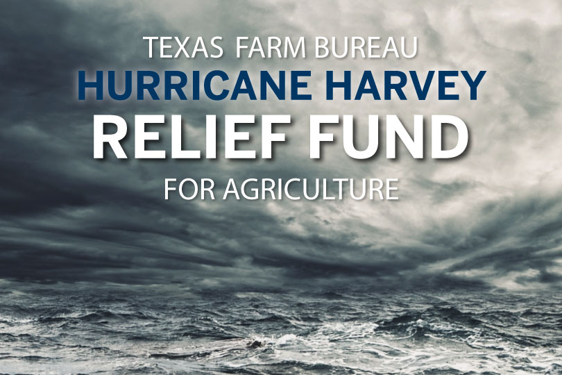 Texas Farm Bureau Establishes Relief Fund for Farmers Suffering Losses from Hurricane Harvey