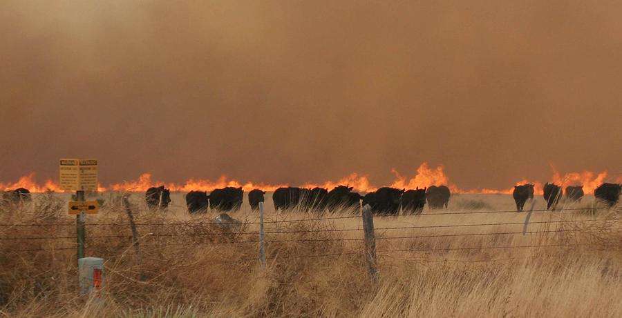 Emergency Manager David Pelzer Offers Expert Tips on Handling an Unexpected Crisis on the Farm