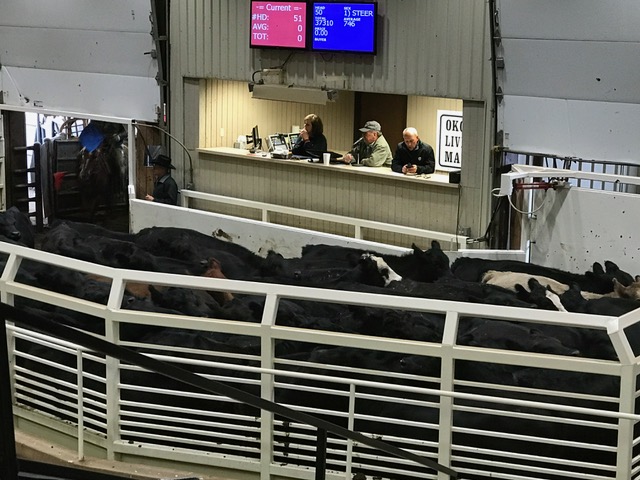 Yearlings Trade Two to Four Dollars Higher in Wednesday OKC West Auction After Calves Higher on Tuesday