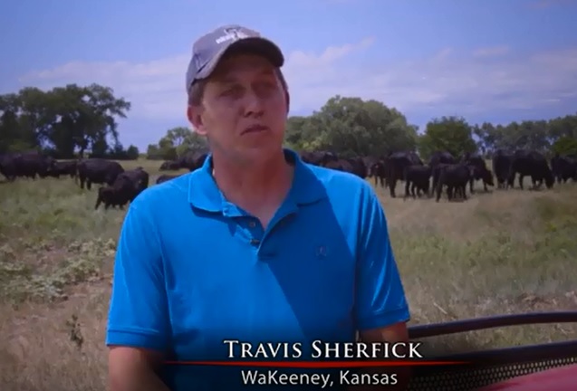 Travis Sherfick of Kan. Says When It Comes to Growing Top Quality Angus Beef Never Limit Yourself