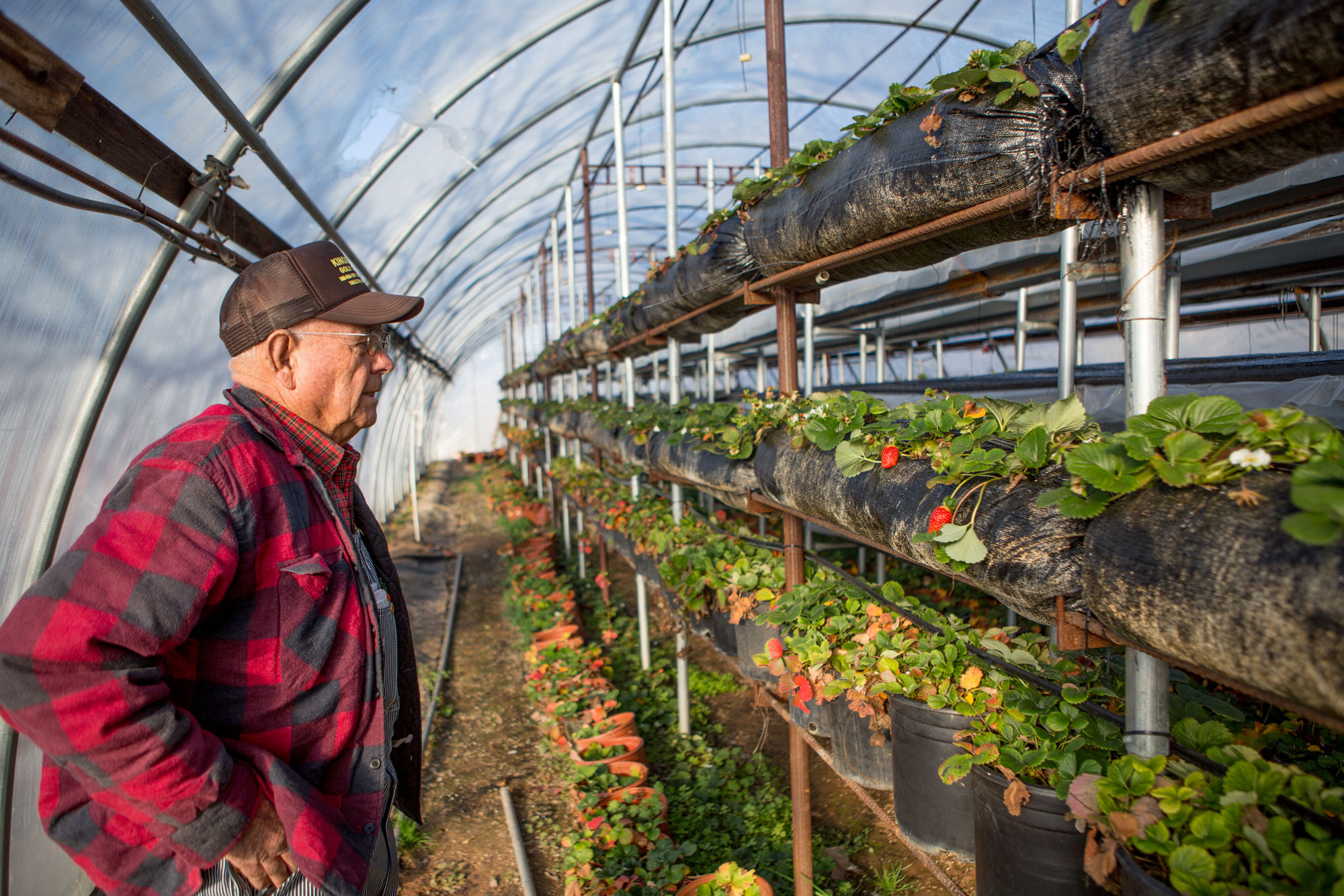 As Interest for Locally Grown Produce Rises, Noble Launches New Specialty Crop Seminar Series