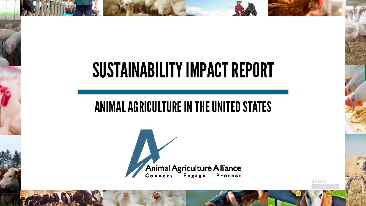 Animal Agriculture's Commitment to Continuous Improvement Highlighted in 2019 Sustainability Report