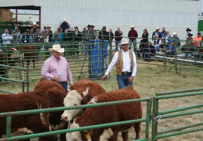 Merck Partners with NCBA to Sponsor Six Regional Stockmanship and Stewardship Events in 2019