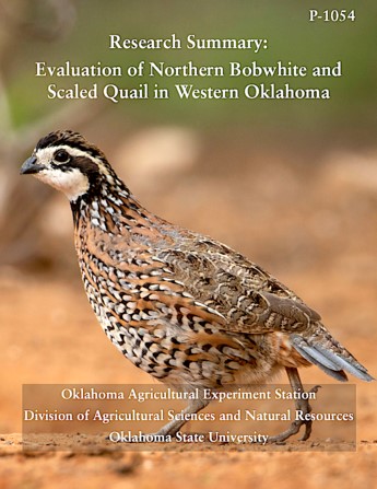 Six-Year Study by OSU Confirms Weather and Habitat's Influence on Quail Population in Oklahoma