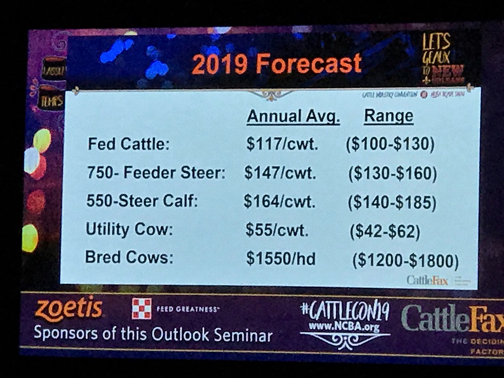Bigger Beef, Pork and Poultry Supplies in 2019 Could Mean Cattle Price Pressure