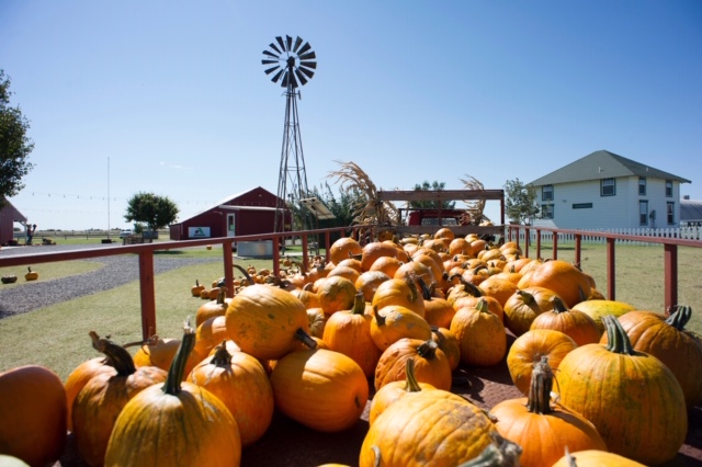 Register Now for the 2019 Oklahoma Farmers Market and Agritourism Conference and Tour, March 1