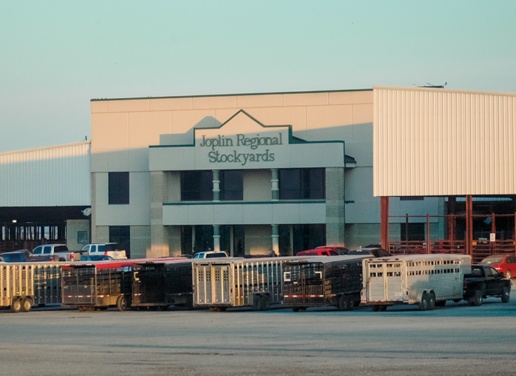 Joplin Regional Stockyards - Close