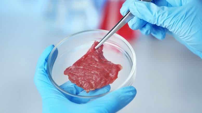 Cattlemen Say USDA-FDA Formal Lab-Grown Fake Meat Agreement is 
