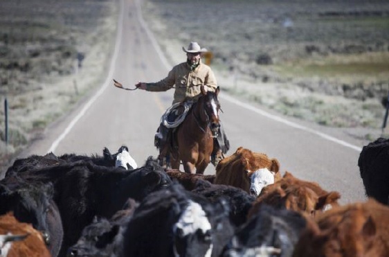 Oregon Cattleman Rodger Huffman Testifies to Congress that Ranchers are Conservation Champions