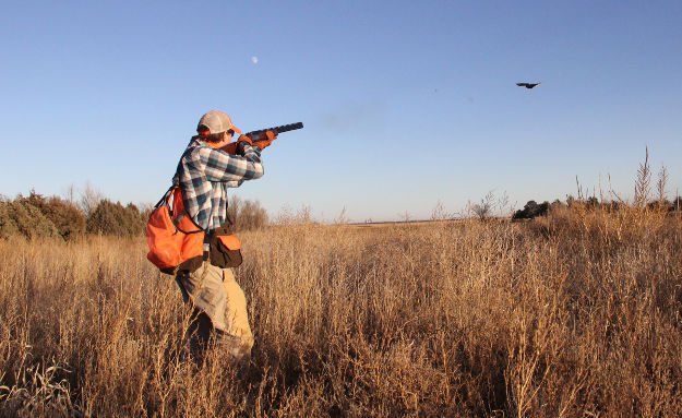 Quail Hunters Take Aim at Bill that Limits Wildlife Commission's Ability to Buy Land in Oklahoma