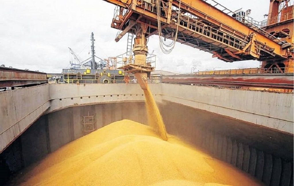 Wheat Farmers Welcome New Export Opportunity from Trump Administration Agreement with Brazil