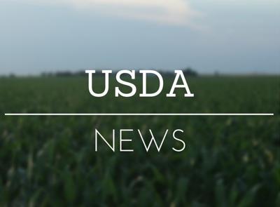 USDA: Changes Being Made to May 2019 World Agricultural Supply and Demand Estimates Report