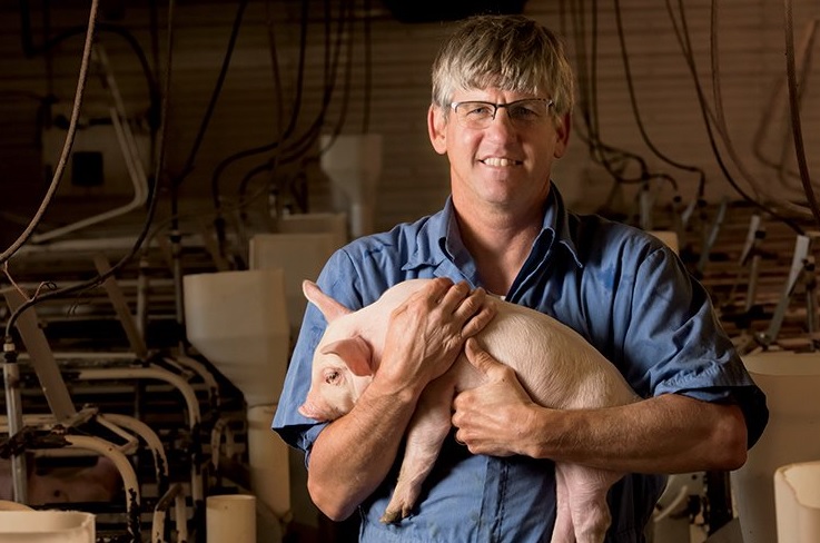 Study Shows US Pig Farmers Have Made Major Sustainability Progress Over the Last 55 Years
