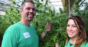 Think You've Missed the Boat on Growing Industrial Hemp this Year? Don't Worry There's Still Time