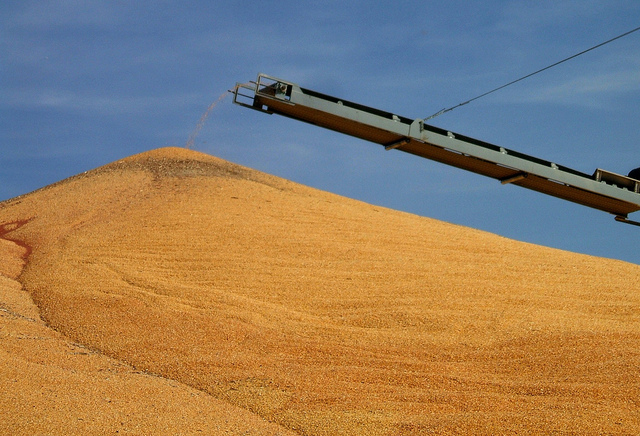 Oklahoma grain elevator cash bids as of 2:00 pm Thursday