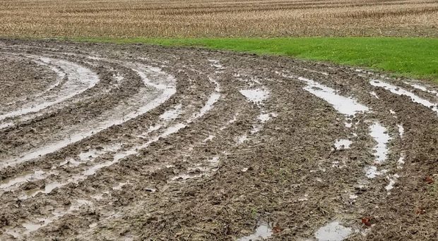 Wet Conditions Continue to Slow US Corn Planting- Will Weather Conditions Allow Farmers to Catch Up? 