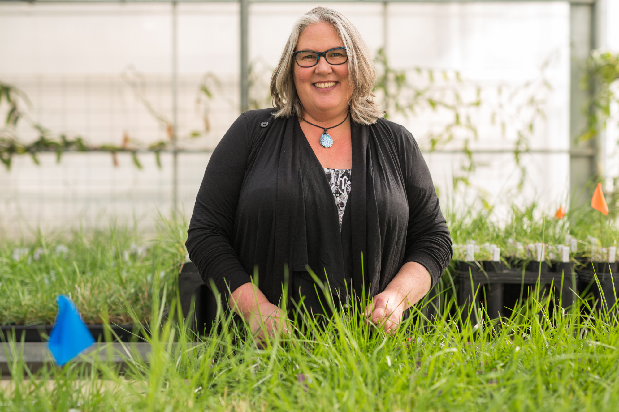Noble Research Institute Mycology Researcher Carolyn Young, Ph.D., Promoted to Professor