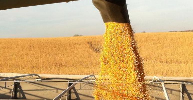 Top Ag Ministers Call on Governments to Stop Dragging Their Feet on Regulatory Approval of Precision Biotechnolgy That Can Help Feed the World
