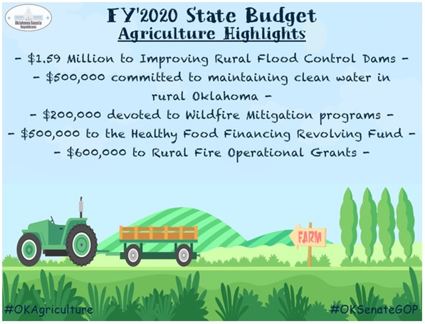 Senate Approves State Budget 37-11 with $3.1 Million Earmarked for Rural Infrastructure, Resources