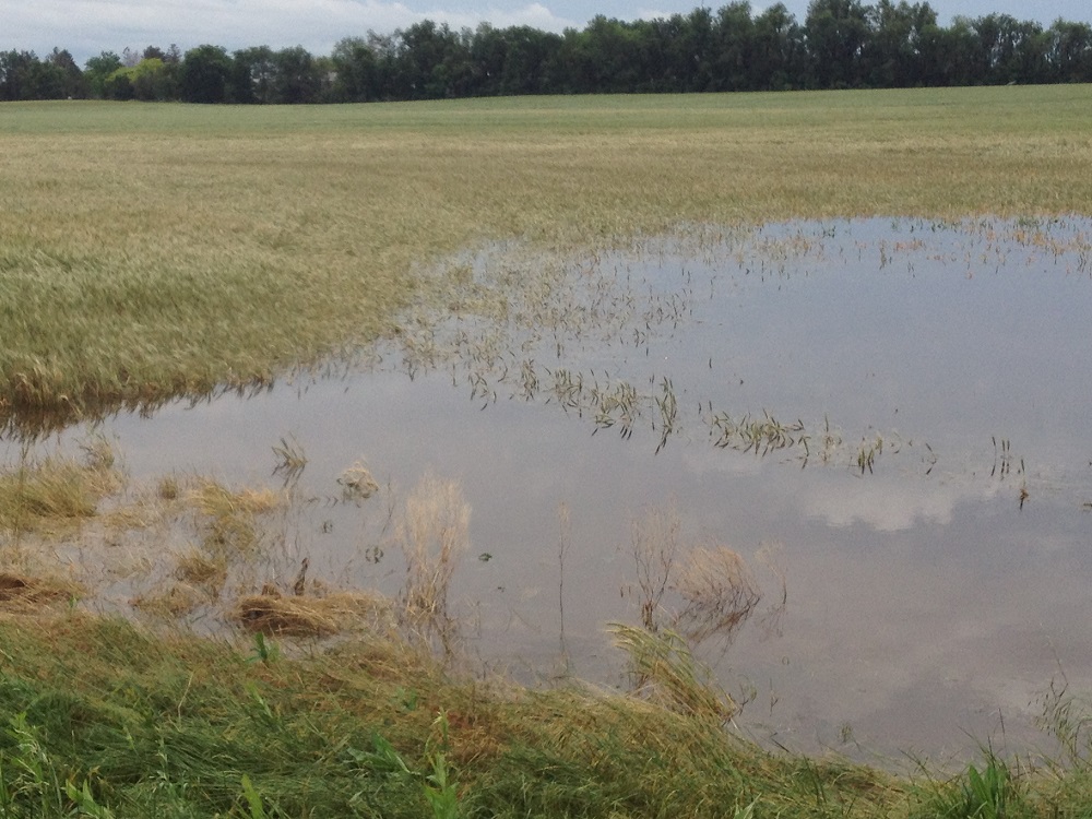 USDA Ready to Help State Farmers and Ranchers Recover from Recent Flooding, Tornadoes