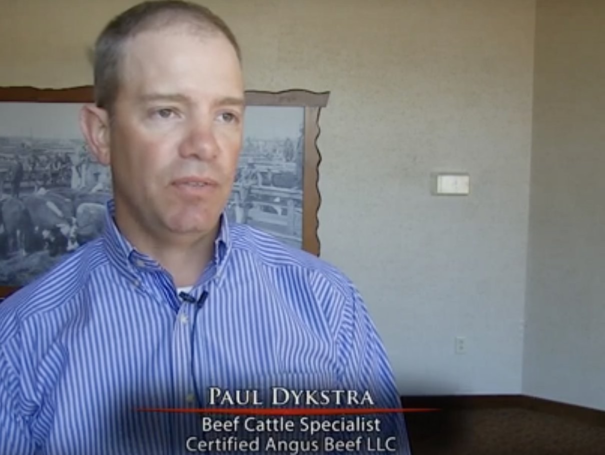 CAB's Paul Dykstra talks About What Sets Premium Quality Cattle Above the Average 