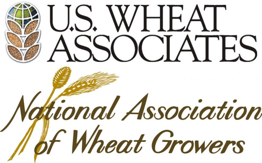 Wheat Industry Laments New Tariffs on Mexico as Political Weapons Causing Collateral Damage